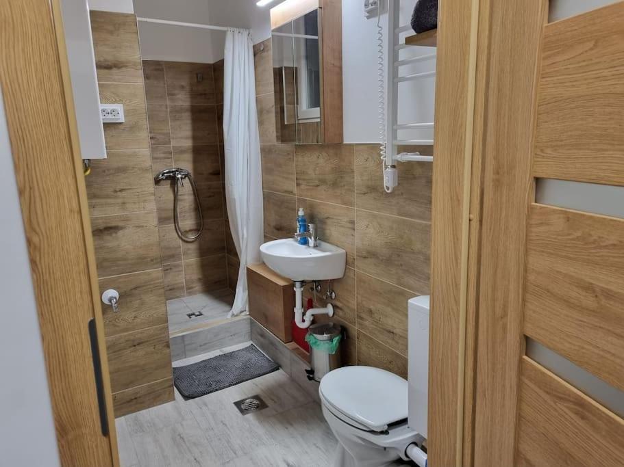 Downtown Studio Apartman Pecs Luaran gambar